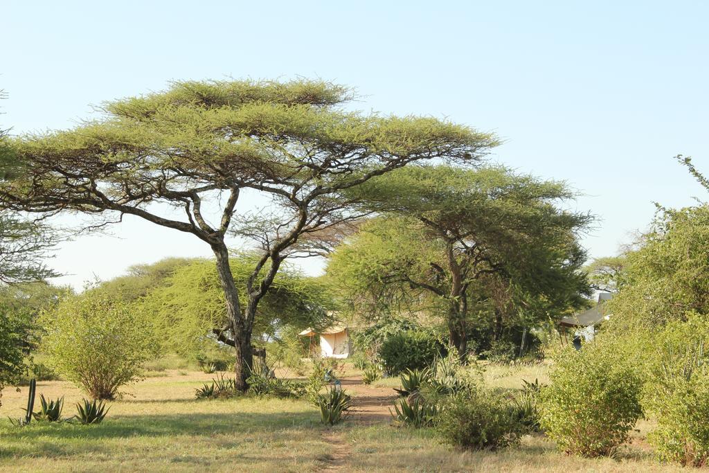 Mapito Tented Camp Serengeti Bagian luar foto