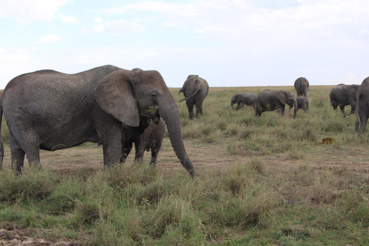 Mapito Tented Camp Serengeti Bagian luar foto